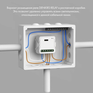 Wi-Fi реле Relay RL1001-SM