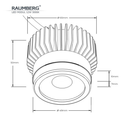 Светодиодный модуль  Raumberg12W3000K