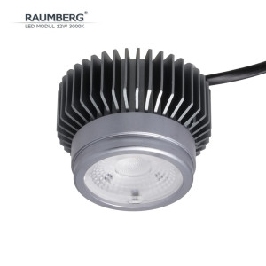 Светодиодный модуль  Raumberg12W3000K